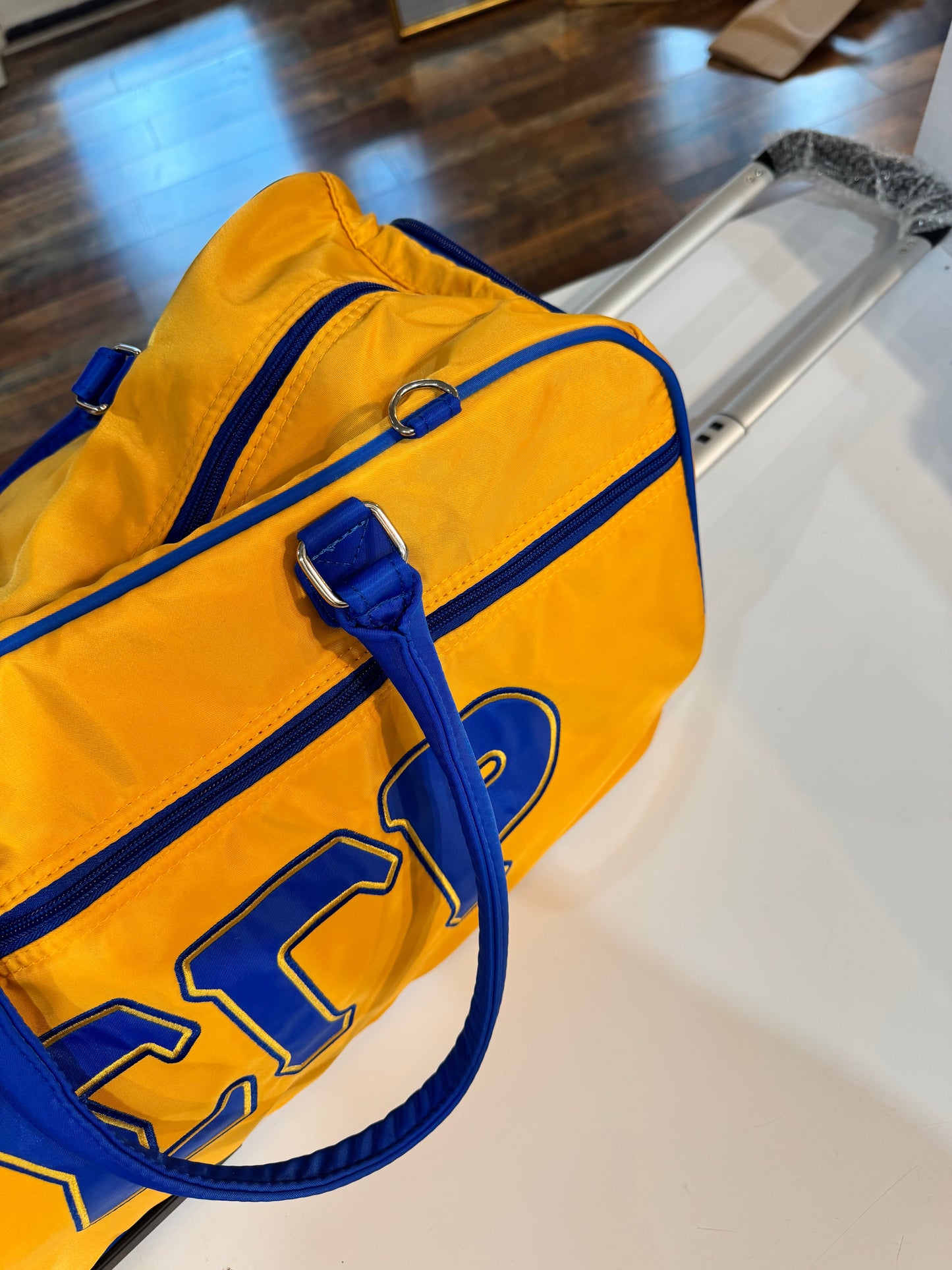 SGRho Rolling Trolley Bag