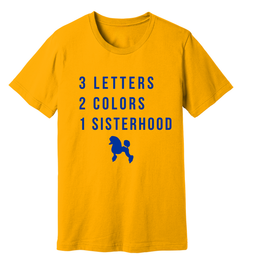 The Sisterhood  Tee