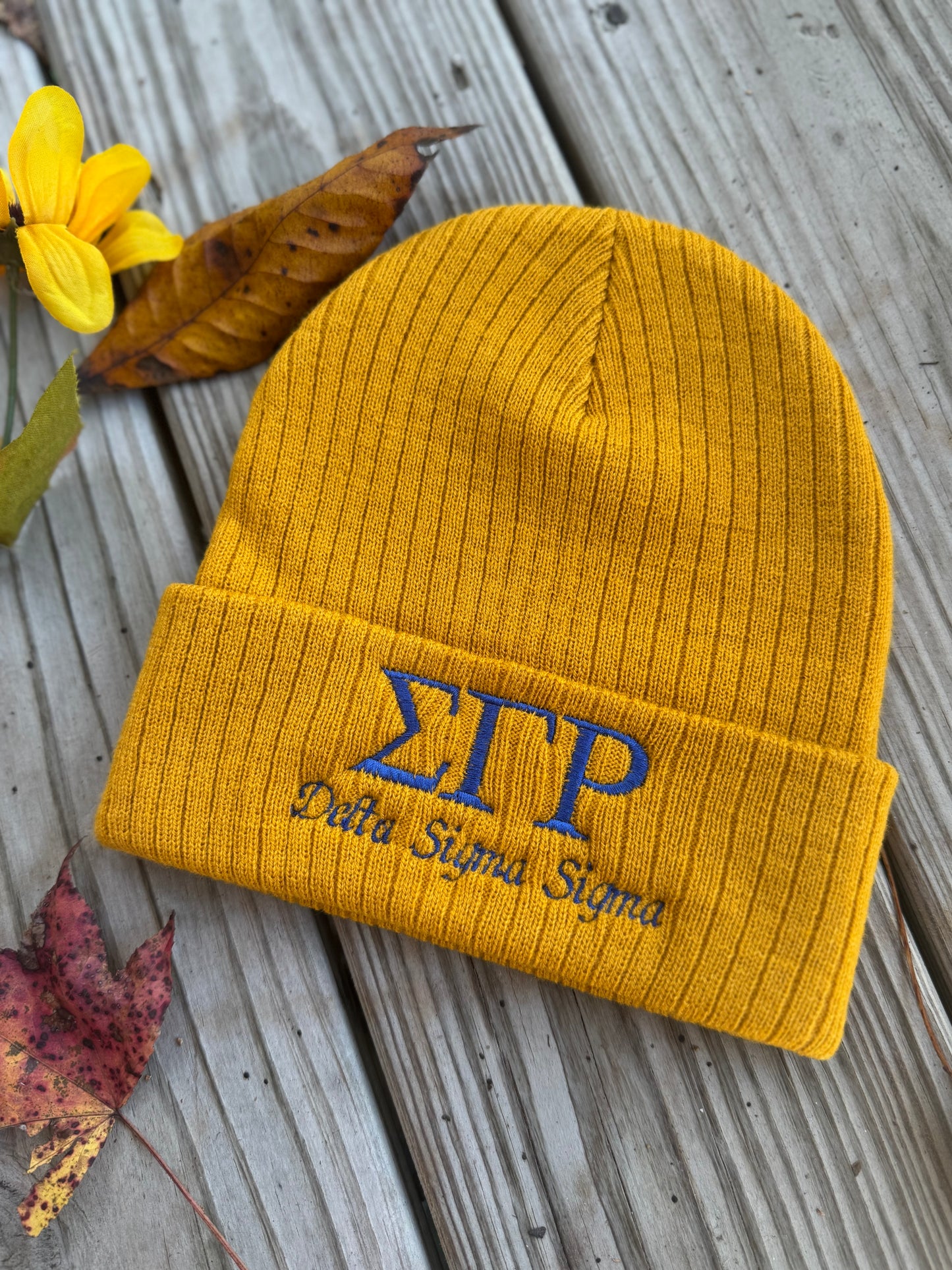 Custom Sigma Gamma Rho Chapter Beanie