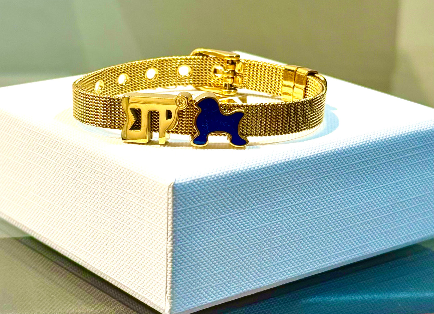 Sigma Gamma Rho Charm Bracelet