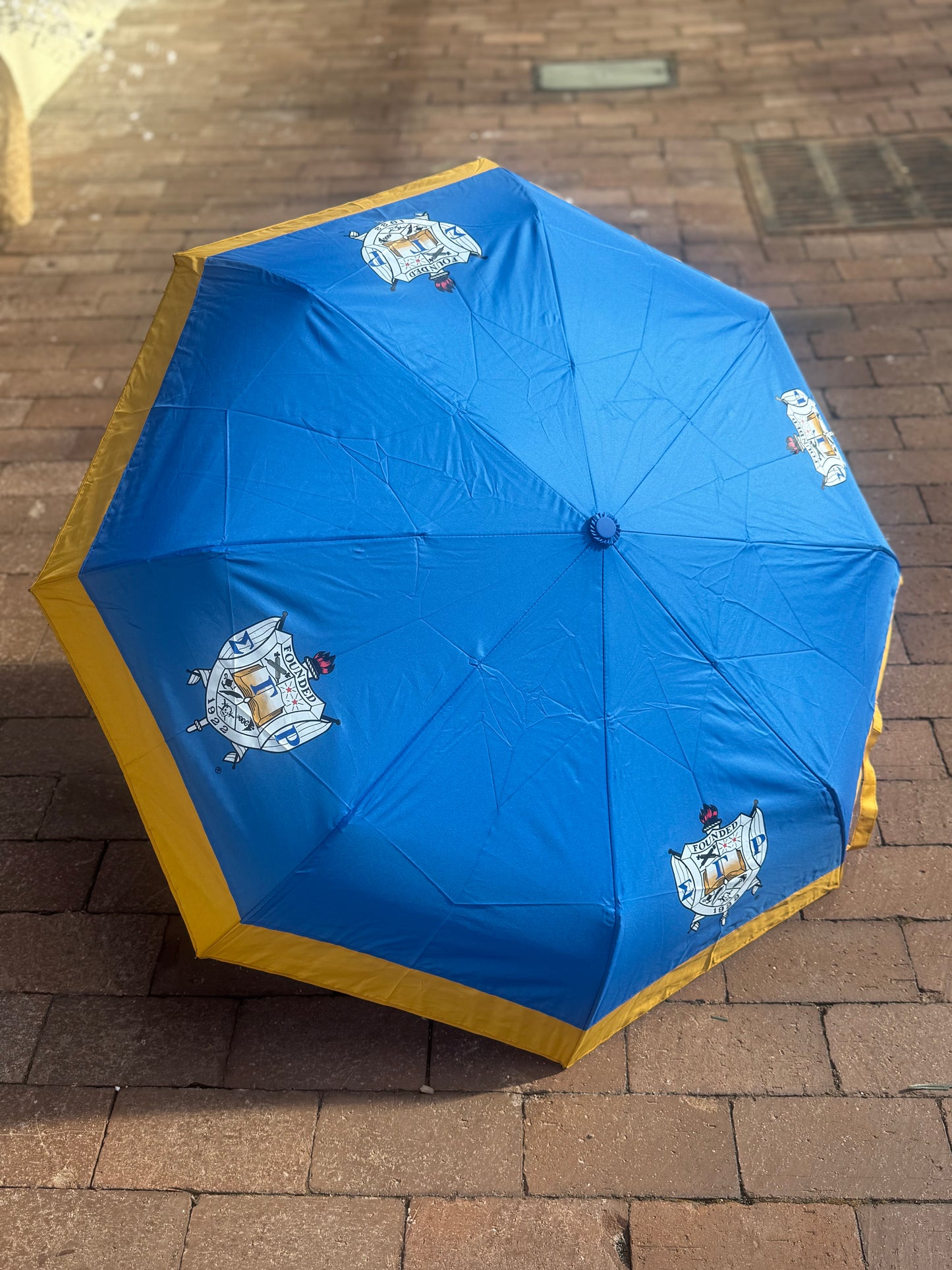 SGRHO Mini Automatic Umbrella